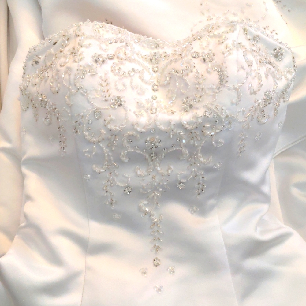 Wedding Gown - Picture 1 of 15